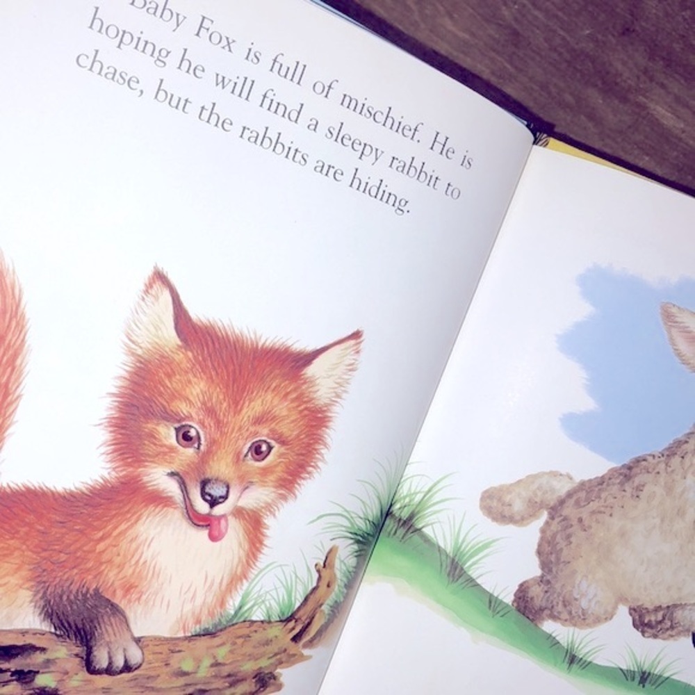 Baby Animals kids golden book - Picture 6 of 6